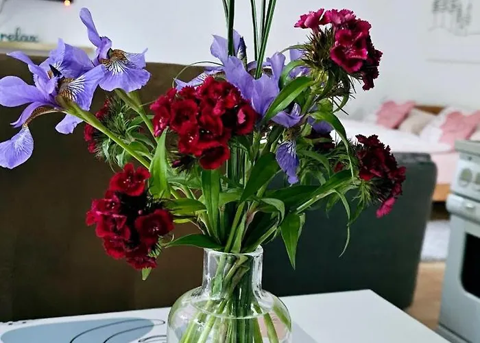 Stari Grad - Na Uni - Bihac Cazin *